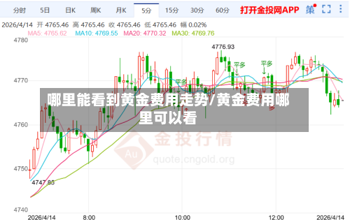 哪里能看到黄金费用走势/黄金费用哪里可以看-第2张图片