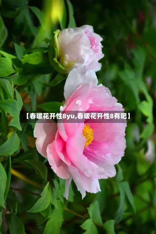 【春暖花开性8yu,春暖花开性8有吧】
