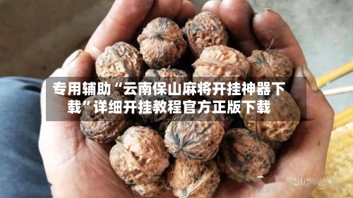 专用辅助“云南保山麻将开挂神器下载”详细开挂教程官方正版下载-第2张图片