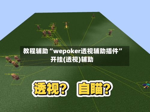 教程辅助“wepoker透视辅助插件”开挂(透视)辅助-第3张图片