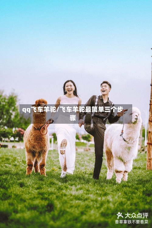 qq飞车羊驼/飞车羊驼最简单三个步骤-第3张图片