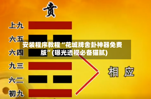 安装程序教程“花城牌舍卦神器免费版”(曝光透视必备猫腻)-第3张图片