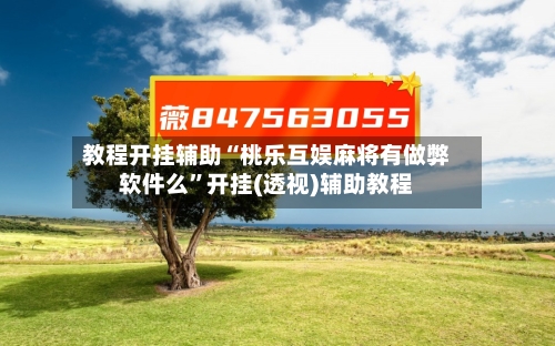 教程开挂辅助“桃乐互娱麻将有做弊软件么	”开挂(透视)辅助教程-第2张图片