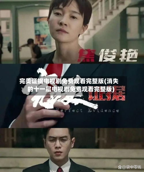 完美证据电视剧免费观看完整版(消失的十一层电视剧免费观看完整版)-第3张图片