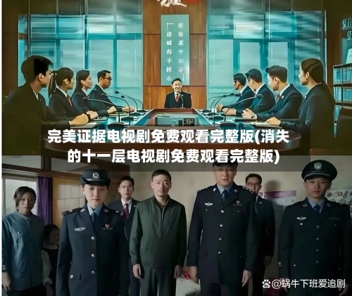 完美证据电视剧免费观看完整版(消失的十一层电视剧免费观看完整版)