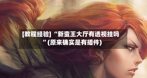 [教程经验] “新蛮王大厅有透视挂吗	”(原来确实是有插件)-第2张图片