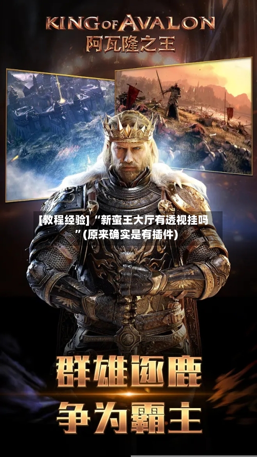 [教程经验] “新蛮王大厅有透视挂吗”(原来确实是有插件)-第3张图片