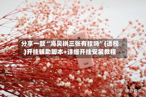 分享一款“海贝拼三张有挂吗”(透视)开挂辅助脚本+详细开挂安装教程-第2张图片