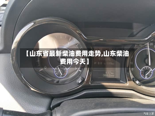 【山东省最新柴油费用走势,山东柴油费用今天】