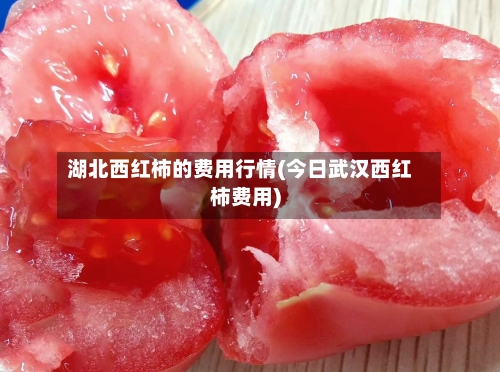 湖北西红柿的费用行情(今日武汉西红柿费用)