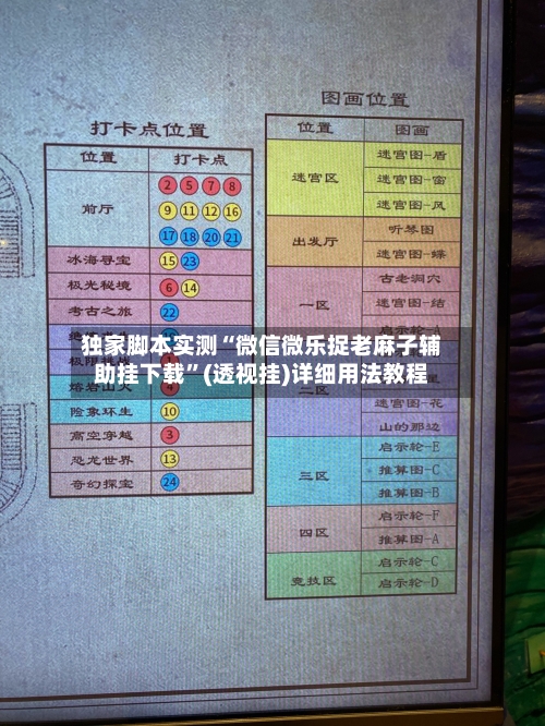 独家脚本实测“微信微乐捉老麻子辅助挂下载”(透视挂)详细用法教程-第3张图片