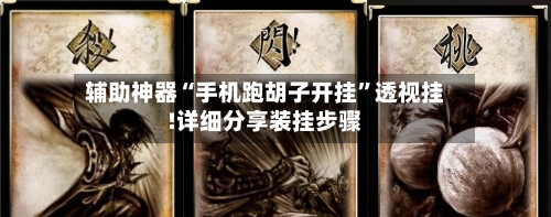 辅助神器“手机跑胡子开挂”透视挂!详细分享装挂步骤-第3张图片