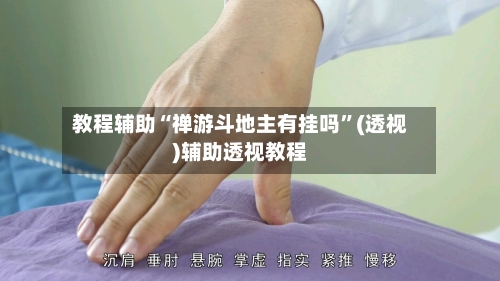 教程辅助“禅游斗地主有挂吗”(透视)辅助透视教程-第2张图片