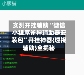 实测开挂辅助“微信小程序雀神辅助器安装包	”开挂神器{透视辅助}全揭秘-第3张图片