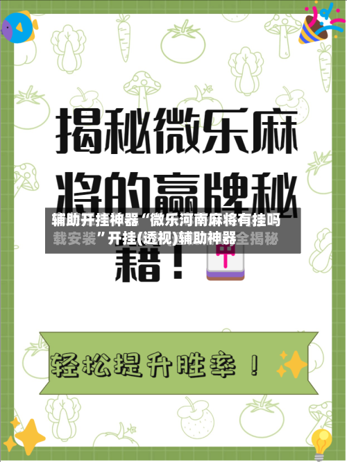 辅助开挂神器“微乐河南麻将有挂吗”开挂(透视)辅助神器-第2张图片