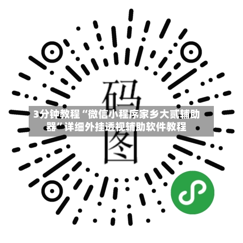 3分钟教程“微信小程序家乡大贰辅助器”详细外挂透视辅助软件教程-第3张图片