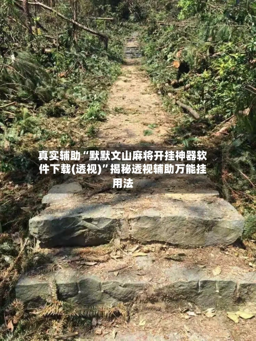 真实辅助“默默文山麻将开挂神器软件下载(透视)	”揭秘透视辅助万能挂用法-第2张图片