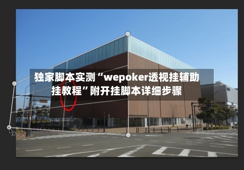 独家脚本实测“wepoker透视挂辅助挂教程	”附开挂脚本详细步骤-第2张图片