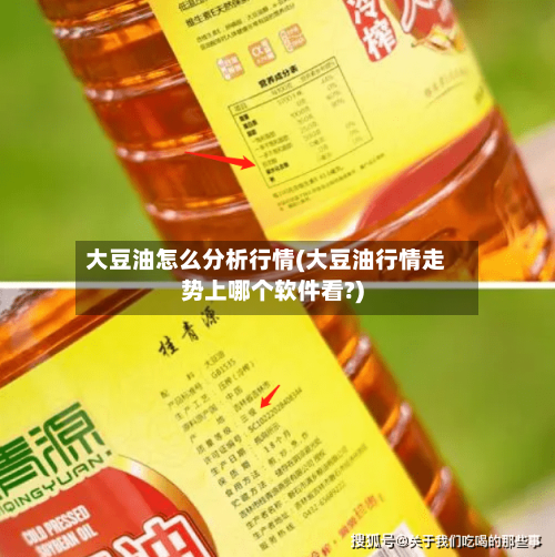 大豆油怎么分析行情(大豆油行情走势上哪个软件看?)-第3张图片