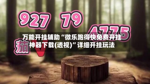 万能开挂辅助“微乐跑得快免费开挂神器下载(透视)”详细开挂玩法-第2张图片