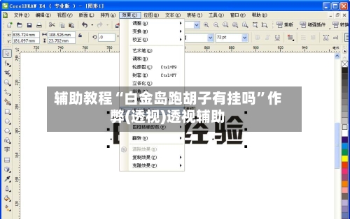 辅助教程“白金岛跑胡子有挂吗”作弊(透视)透视辅助