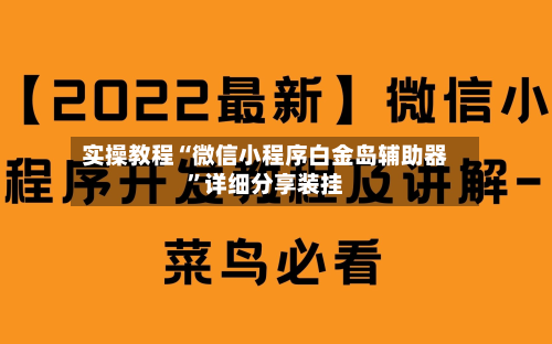 实操教程“微信小程序白金岛辅助器”详细分享装挂-第3张图片