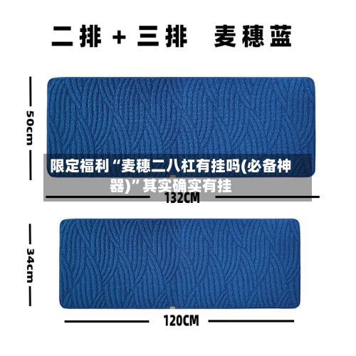限定福利“麦穗二八杠有挂吗(必备神器)	”其实确实有挂-第2张图片