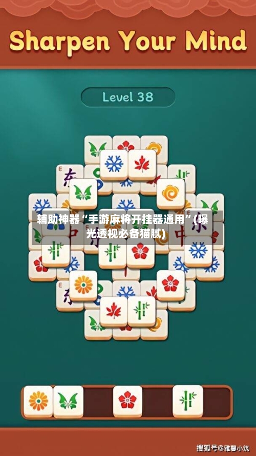 辅助神器“手游麻将开挂器通用”(曝光透视必备猫腻)-第2张图片