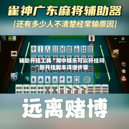 辅助开挂工具“湘中娱乐可以开挂吗”附开挂脚本详细步骤-第2张图片