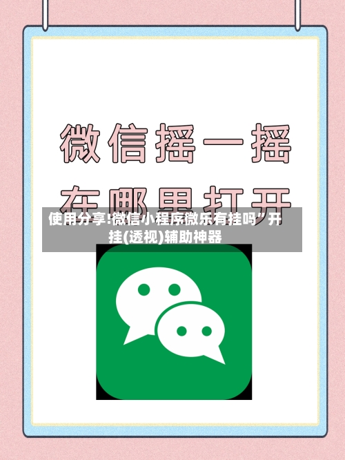 使用分享!微信小程序微乐有挂吗”开挂(透视)辅助神器-第2张图片