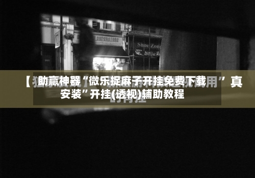 助赢神器“微乐捉麻子开挂免费下载安装”开挂(透视)辅助教程-第2张图片