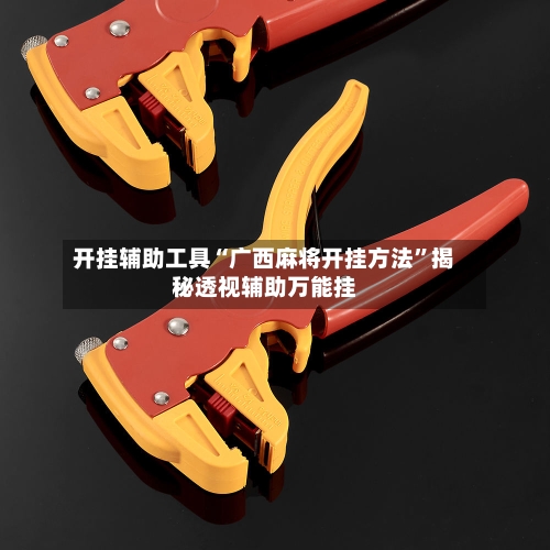 开挂辅助工具“广西麻将开挂方法”揭秘透视辅助万能挂-第3张图片