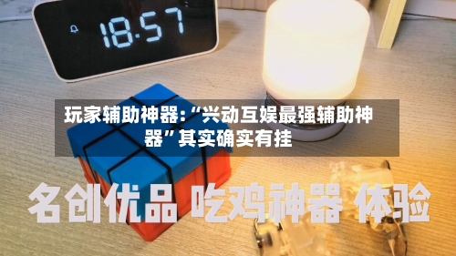 玩家辅助神器:“兴动互娱最强辅助神器	”其实确实有挂-第2张图片