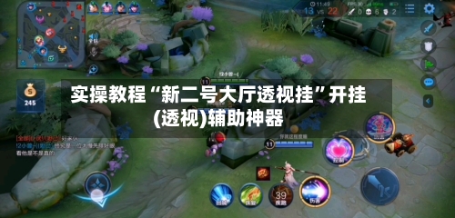 实操教程“新二号大厅透视挂”开挂(透视)辅助神器-第3张图片