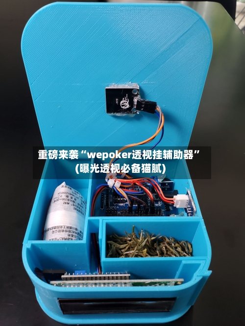 重磅来袭“wepoker透视挂辅助器”(曝光透视必备猫腻)-第3张图片