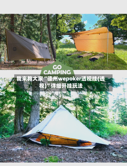 我来教大家“德州wepoker透视挂(透视)	”详细开挂玩法-第2张图片