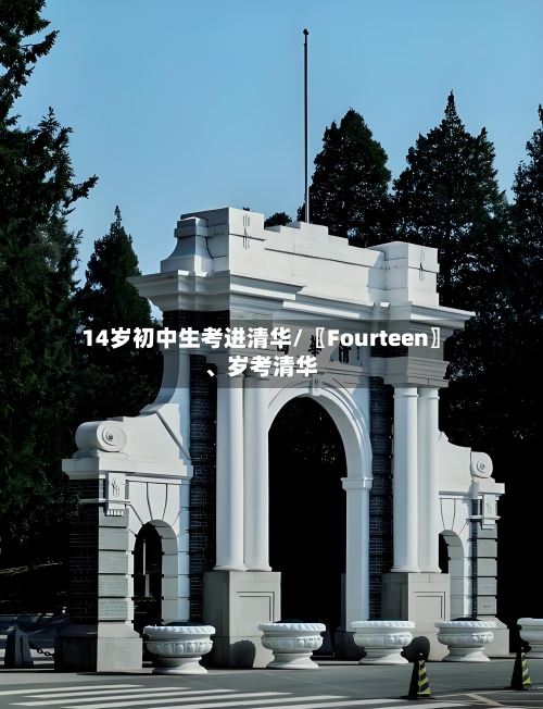 14岁初中生考进清华/〖Fourteen〗	、岁考清华-第3张图片