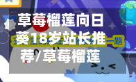 草莓榴莲向日葵18岁站长推荐/草莓榴莲向日葵18岁最新版