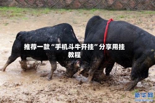 推荐一款“手机斗牛开挂”分享用挂教程-第2张图片