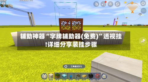 辅助神器“字牌辅助器(免费)”透视挂!详细分享装挂步骤-第2张图片