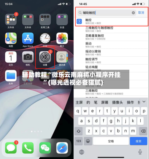 辅助教程“微乐云南麻将小程序开挂”(曝光透视必备猫腻)-第3张图片