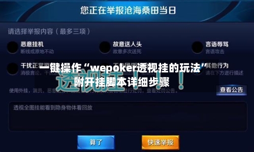 一键操作“wepoker透视挂的玩法”附开挂脚本详细步骤-第2张图片