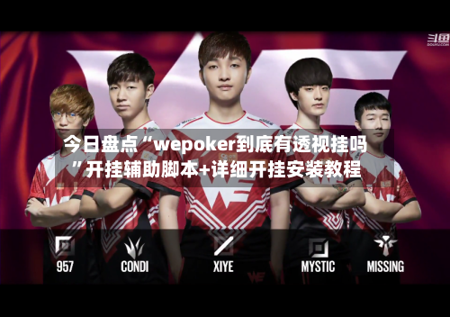 今日盘点“wepoker到底有透视挂吗”开挂辅助脚本+详细开挂安装教程-第3张图片