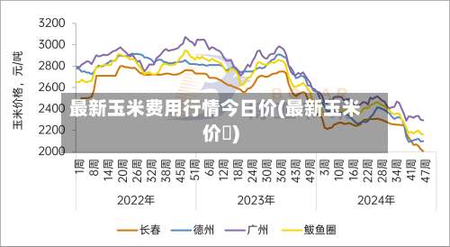 最新玉米费用行情今日价(最新玉米价挌)-第2张图片