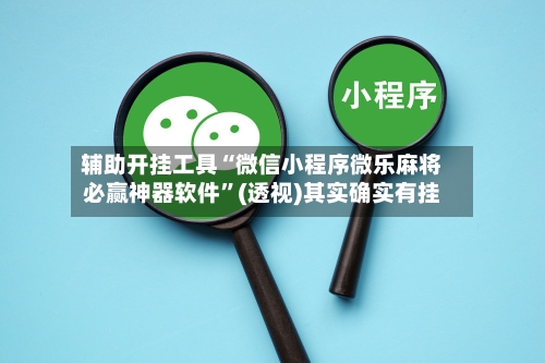 辅助开挂工具“微信小程序微乐麻将必赢神器软件”(透视)其实确实有挂-第2张图片