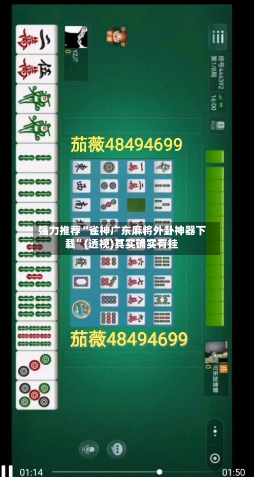 强力推荐“雀神广东麻将外卦神器下载”(透视)其实确实有挂