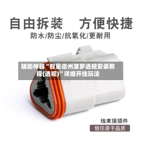 辅助神器“智星德州菠萝透视安装教程(透视)”详细开挂玩法-第3张图片