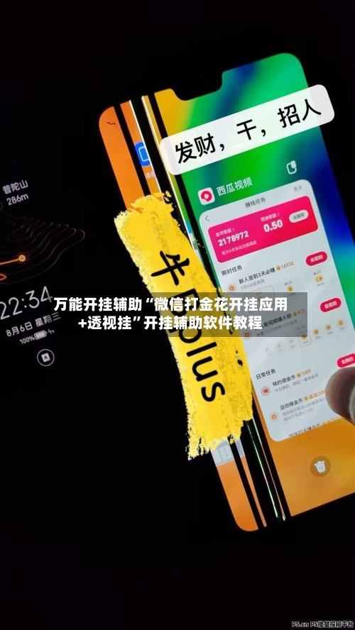 万能开挂辅助“微信打金花开挂应用+透视挂”开挂辅助软件教程-第3张图片