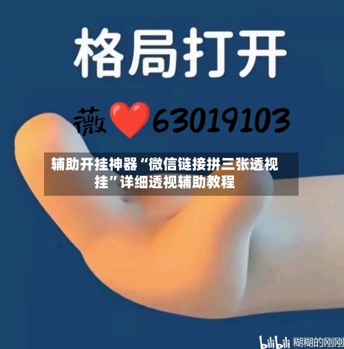 辅助开挂神器“微信链接拼三张透视挂”详细透视辅助教程-第3张图片