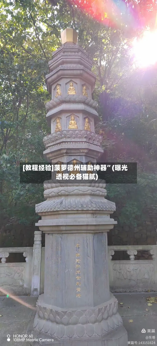 [教程经验]菠萝德州辅助神器”(曝光透视必备猫腻)-第3张图片